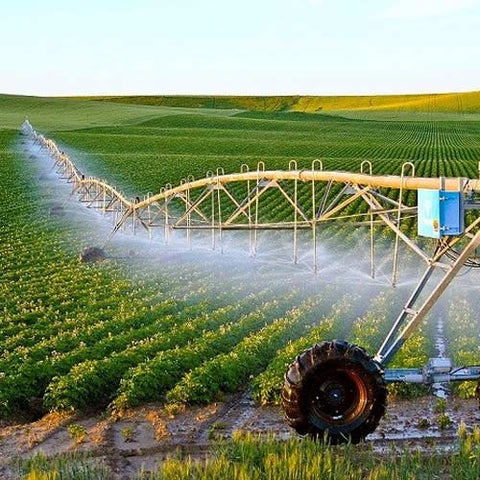 Khởi nghiệp sáng tạo Việt Nam: Thời cơ bứt phá và bài toán đầu tư xanh
