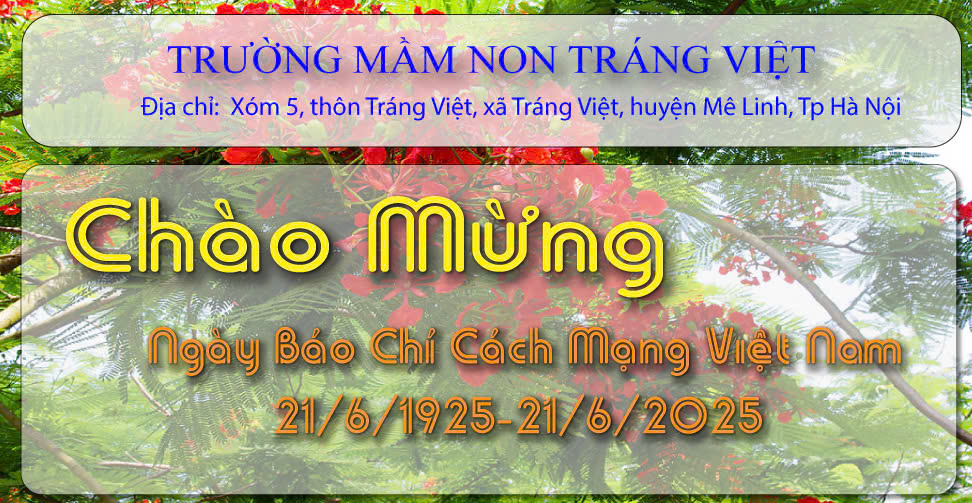 Trường mầm non Tráng Việt