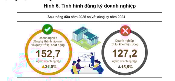 Hơn 80,8 nghìn doanh nghiệp ngừng hoạt động trong 6 tháng