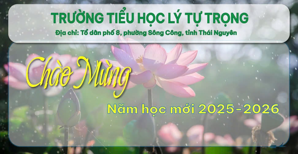 Trường tiểu học Lý Tự Trọng